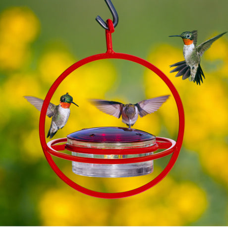 Mosaic Birds Hummble Hummingbird Replacement Lid with a design featuring flying hummingbirds, depicted as a close-up of birds with spread wings.