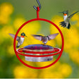 Mosaic Birds Hummble Hummingbird Replacement Lid with a design featuring flying hummingbirds, depicted as a close-up of birds with spread wings.