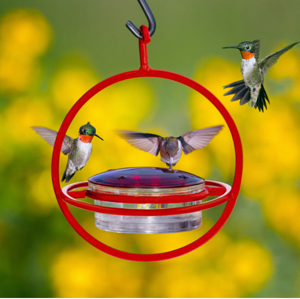 Mosaic Birds Hummble Hummingbird Replacement Lid with a design featuring flying hummingbirds, depicted as a close-up of birds with spread wings.