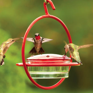 Mosaic Birds Hummble Hummingbird Replacement Lid featured with hummingbirds using it at a feeder, highlighting its essential function for bird enthusiasts.