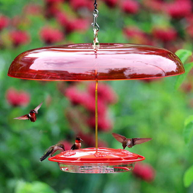 Fliteline Feeder & Baffle Set with multiple hummingbirds feeding; features six ports, wraparound perch, and ant moat.