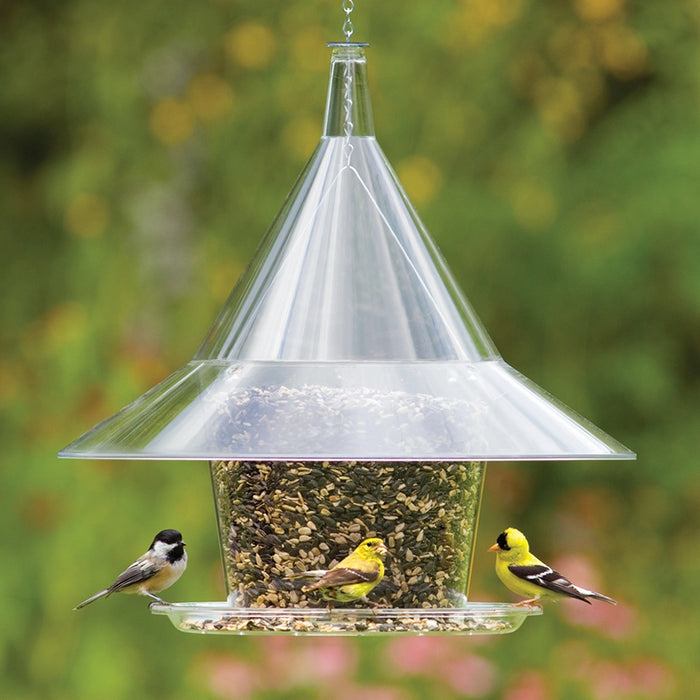 Shy Cafe Bird Feeder with birds eating from a tray. 
