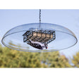 Duncraft Shielded Suet Feeder featuring a bird feeding upside down on a metal grate, with a clearview plastic weather guard and vinyl-coated wire caging.