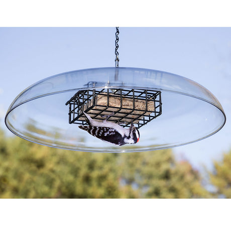 Duncraft Shielded Suet Feeder featuring a bird feeding upside down on a metal grate, with a clearview plastic weather guard and vinyl-coated wire caging.