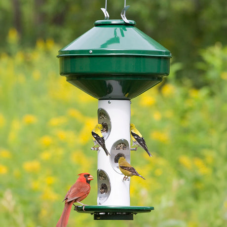 Heavy-Duty Bird Feeder with multiple birds feeding, showcasing its large capacity and multiple feeding ports. Features durable construction and convenient top filling design.