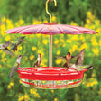 HummZinger Excel & Baffle Set: Hummingbirds feeding on a high-view perch feeder with umbrella dome, showcasing its ant moat and multiple feeding stations.