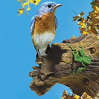 Bird House Accessories