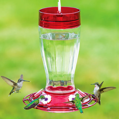 Big Gulp Hummingbird Feeder with five white flower feeding stations, translucent red plastic top, and clear glass reservoir, designed for easy cleaning and hanging.