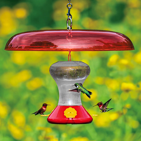Fliteline Feeder & Baffle Set with hummingbirds hovering near, featuring six feeding ports, wraparound perch, and built-in ant moat for easy feeding and cleaning.
