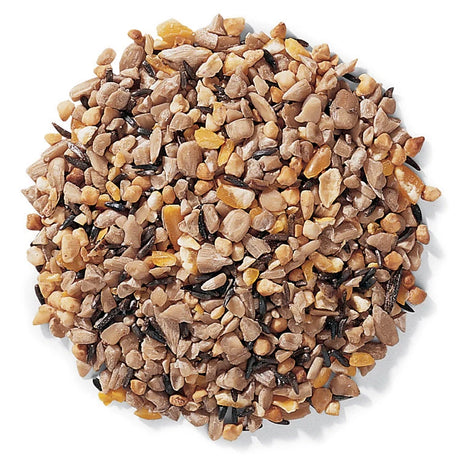 All Bird Seed